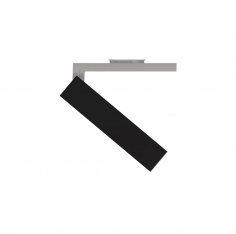 Neutra incasso