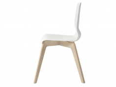 Glamour wood plastic