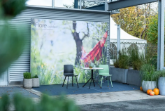 Fiore outdoor