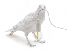 Bird lamp waiting