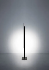 Hashi
