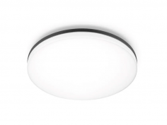 Vola