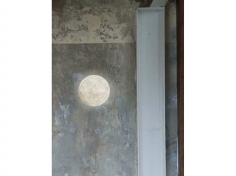 A.moon