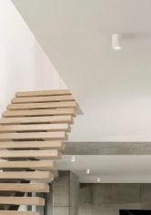 Argo plaster