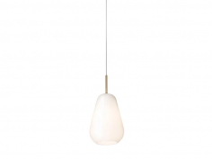 Anoli 1 small opal