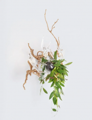 Voa magical sprig & nest small