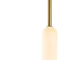 Typha 285.01