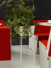 Green pedestals