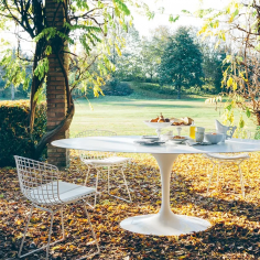 Bertoia outdoor