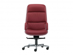 Kiruna executive