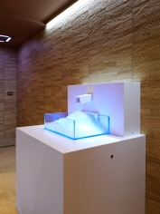Ice fountain