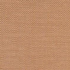 Elfo