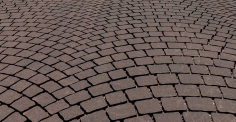 Roubaix®