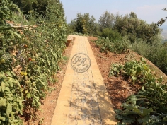 Natural stone garden paths 8