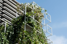 Ipot ad hoc outdoor