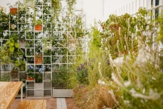 Ipot ad hoc outdoor