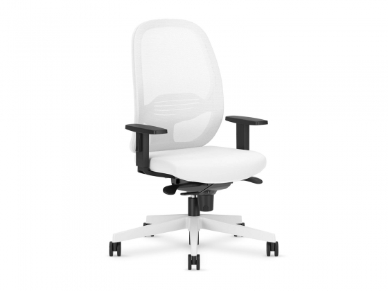 Кресло Eggy Mesh R74 TS25-W фабрики NOWYSTUL