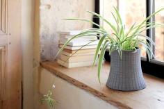 Urban garden | ваза