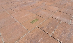 Piazza