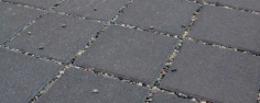 Drenix