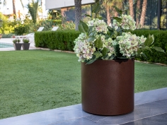 Hortensia