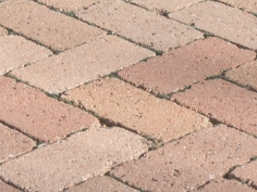 Mattonella