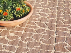 Petragarden