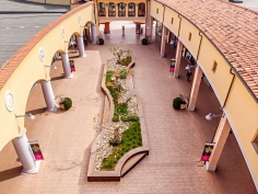 Pianella
