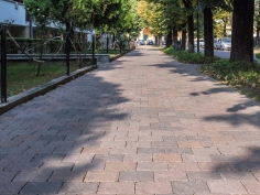 Sampietrino