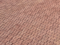 Pietrino