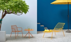 Nolita 3654