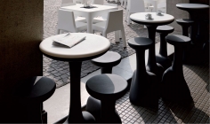 Armillaria stool