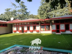 Soft synthetic grass
