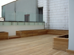 Teak
