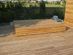 Teak