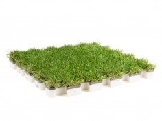 Roofingreen nature drain