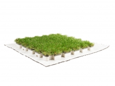 Roofingreen nature drain
