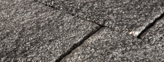 Corso® fenice