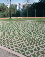 Pratoverde