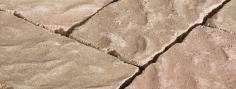 Quarello