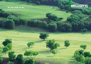 BELLOTTI - Company profile (it, en)