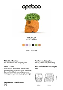 MEXICO_PLANTER (it, en)
