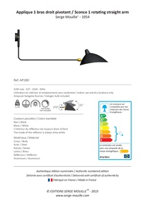 AP1BD (en,fr)