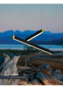 Karice (en)