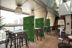 Vertical garden