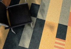 Triflex creative design