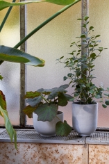 Planters sc70
