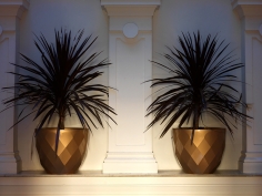 Vases | садовые ваза