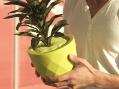 Vases | садовые ваза